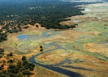 Manovo-Gounda St. Floris National Park, Central African Republic