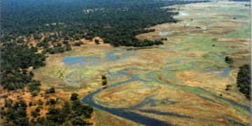 Manovo-Gounda St. Floris National Park, Central African Republic