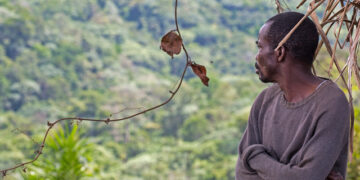 DRC: Displaced Pygmy community struggles far from the forest