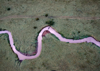 Kenya seals $160 million conservation finance deal