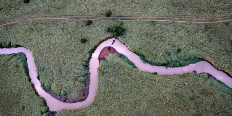 Kenya seals $160 million conservation finance deal