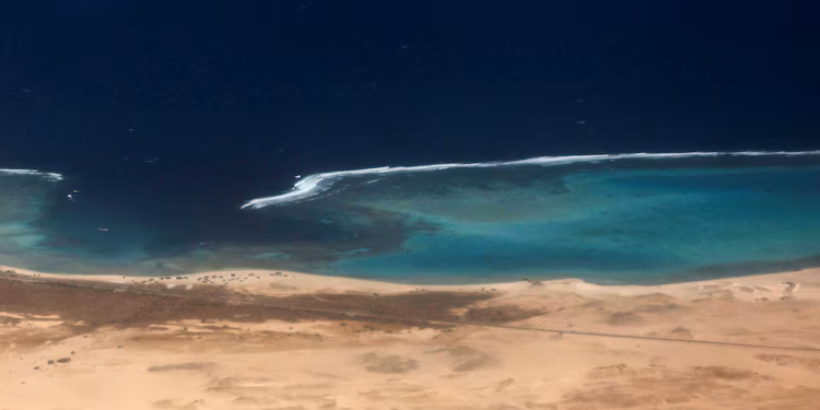 China, Djibouti say all countries should enjoy freedom of navigation in Red Sea