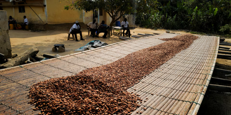 Ghana’s cocoa regulator secures $288 million for farmer purchases