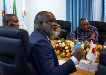African Union delegation meets Congo rebels, calls for continued peace efforts