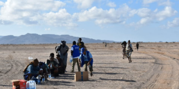 At least 139 migrants dead, including some children, after boat from Djibouti to Yemen capsizes, UN agency says