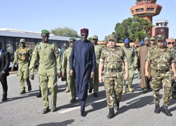 Algeria to send troops to Niger in first foreign deployment since 1973