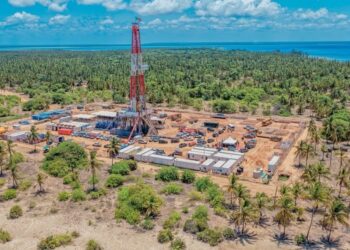 Tanzania announces first gas discovery in more than 10 years