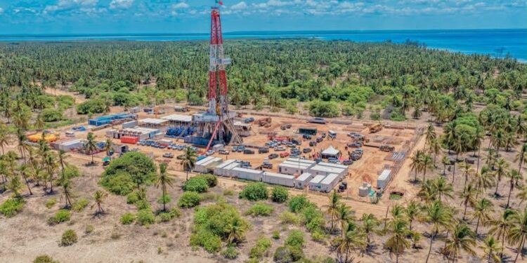 Tanzania announces first gas discovery in more than 10 years