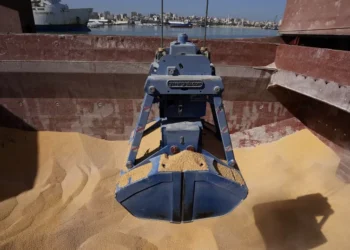 25 000 tonnes de blé russe gratuit destinées à la RCA arrivent au Cameroun