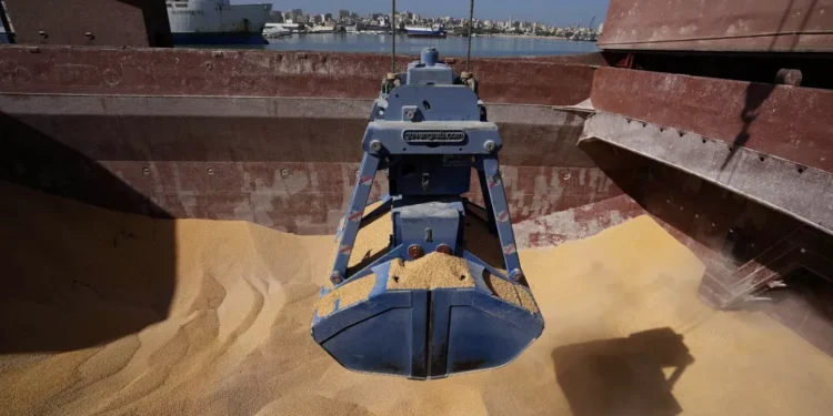 25 000 tonnes de blé russe gratuit destinées à la RCA arrivent au Cameroun