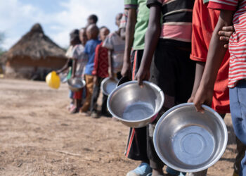 33 pays africains ont besoin d’une aide extérieure pour l’alimentation – FAO