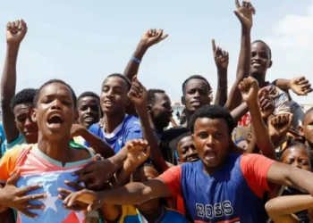 Affaire de l'Éthiopie-Somaliland: La corne d'Afrique peut-elle être guéri?