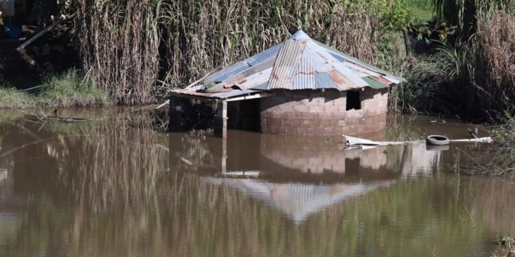 Afrique du Sud : des crues soudaines tuent 21 personnes dans la province côtière du KwaZulu-Natal