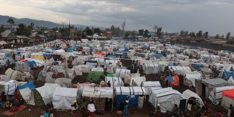 Alors que la RDC se prépare aux élections, les personnes déplacées dans l'Est déchiré par le conflit se sentent abandonnées