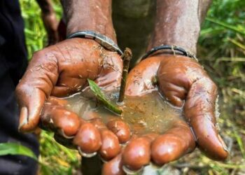 Amnesty exhorte le Nigeria à bloquer la vente des activités pétrolières de Shell