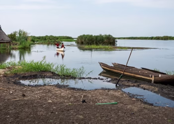 Au Soudan du Sud, des familles luttent pour survivre face à la montée des eaux du Nil.