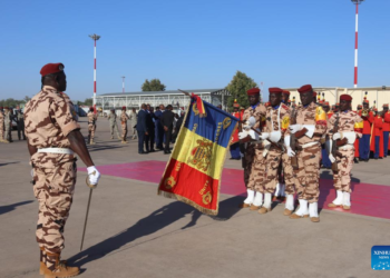 Au moins 24 soldats tués dans une attaque présumée de Boko Haram au Tchad