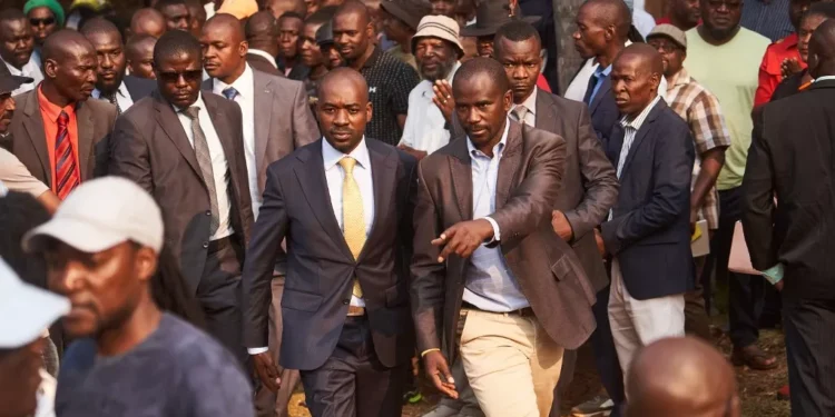 Campagne électorale au Zimbabwe : le chef de l'opposition kidnappé et retrouvé mort
