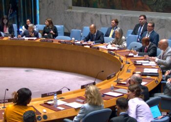 Crise au Sahel, une somme de circonstances complexes- Conseil de sécurité de l'ONU