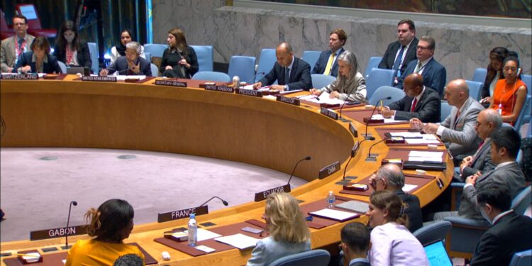 Crise au Sahel, une somme de circonstances complexes- Conseil de sécurité de l'ONU