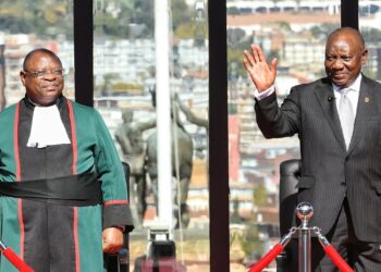 Cyril Ramaphosa nomme un gouvernement d'unité nationale "sans précédent"