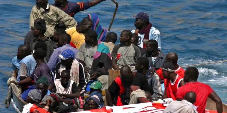 Demandeurs d'asile : le ministère de l'Intérieur affirme que plus de 17 000 personnes sont portées disparues