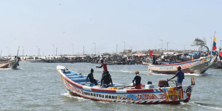 Des ONG poursuivent l'Espagne pour avoir ignoré la menace de la pêche illégale sur les côtes africaines