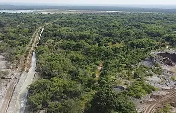 Des agriculteurs zambiens poursuivent une société minière chinoise pour déversement toxique