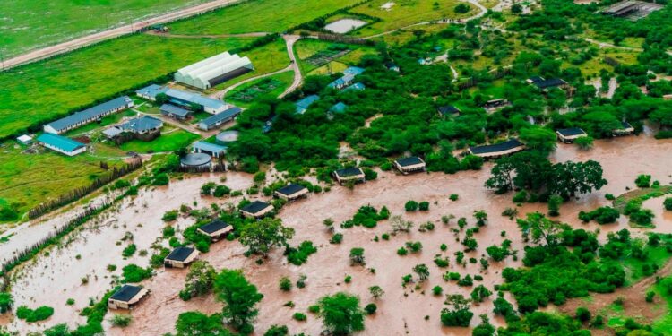 Inondations meurtrières et ravages agricoles au Kenya