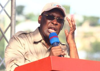 Des membres du CHADEMA libérés après des arrestations liées à un rassemblement de jeunes