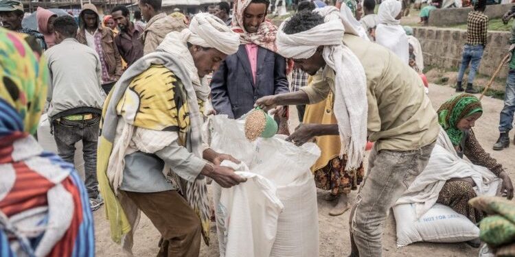 Des millions de personnes ont un besoin urgent de nourriture dans la région éthiopienne du Tigré malgré la reprise des livraisons d'aide