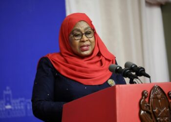 Des sites d'information tanzaniens interdits pour une animation jugée critique à l'égard de la présidente