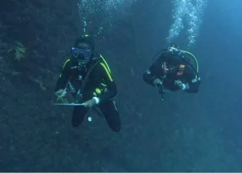 Des spécialistes camerounais de la conservation marine se forment à la plongée scientifique