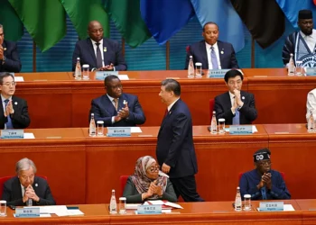 En Chine, les jeunes entrepreneurs africains incarnent le développement de la coopération sino-africaine.