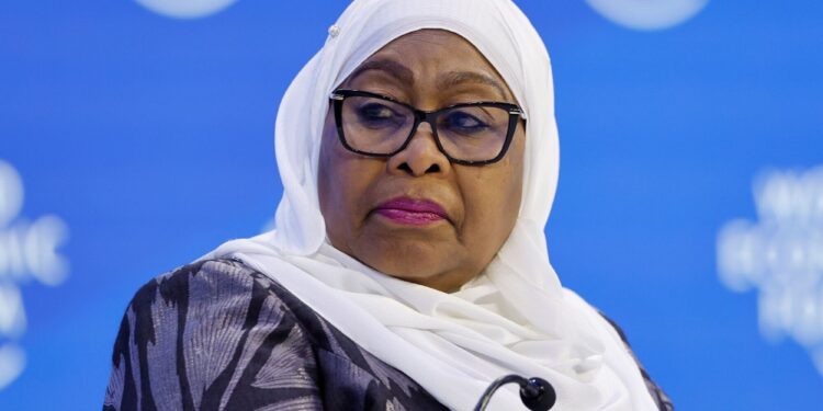 Enlèvements en Tanzanie : Samia demande aux envoyés étrangers de ne pas enquêter