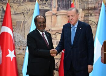 Erdogan critique la reconnaissance du Somaliland par Israël et met en garde contre l'instabilité dans la Corne de l'Afrique