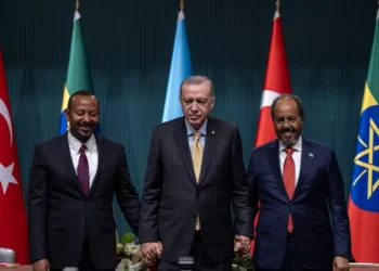 Erdogan rencontre séparément les dirigeants somalien et éthiopien sur fond de conflit au Somaliland