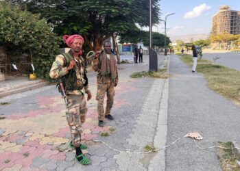 Frappes de drones au Tigré alors que la vie reprend son cours à Mekele