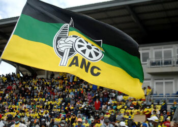 L'ANC au pouvoir en Afrique du Sud ne détiendra probablement pas la majorité (Enquête)