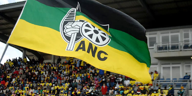 L'ANC au pouvoir en Afrique du Sud ne détiendra probablement pas la majorité (Enquête)