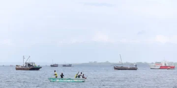 L'Afrique a un besoin urgent de développer l'aquaculture, selon l'ONU lors d'une conférence sur les océans