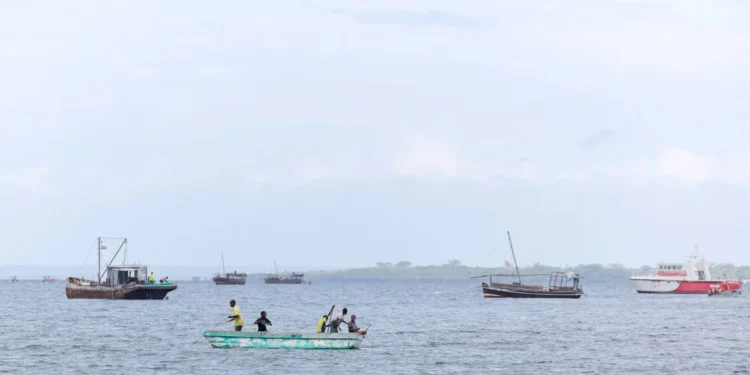 L'Afrique a un besoin urgent de développer l'aquaculture, selon l'ONU lors d'une conférence sur les océans