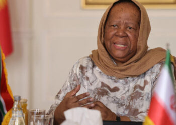 L'Afrique du Sud affirme que la force devrait être utilisée pour briser le blocus israélien sur l'aide à Gaza