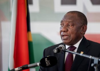 L'Afrique du Sud organise le 29 mai des élections qui pourraient être les plus cruciales depuis la fin de l'apartheid