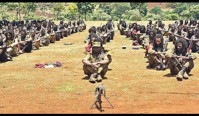 L’Armée de libération oromo nie que ses combattants ciblent les civils