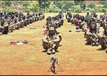 L’Armée de libération oromo nie que ses combattants ciblent les civils