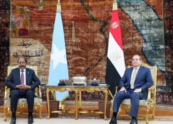 L'Egypte et la Somalie se rencontrent pour discuter de la mer Rouge et des développements au Somaliland