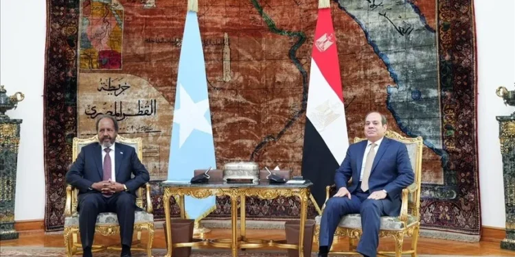 L'Egypte et la Somalie se rencontrent pour discuter de la mer Rouge et des développements au Somaliland
