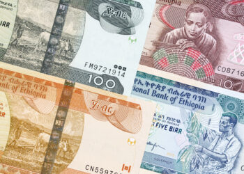 L'Ethiopie adopte un système de change basé sur le marché, la monnaie birr chute