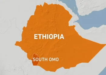 L'Éthiopie confirme trois décès liés à une nouvelle épidémie de virus Marburg